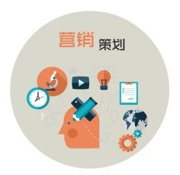 青海市場(chǎng)營(yíng)銷策劃方案